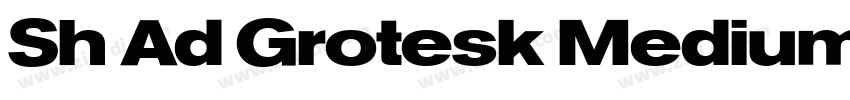 Sh Ad Grotesk Medium字体转换